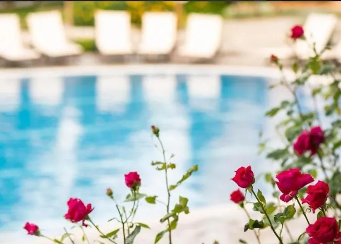 Garden Of Eden - Niya *